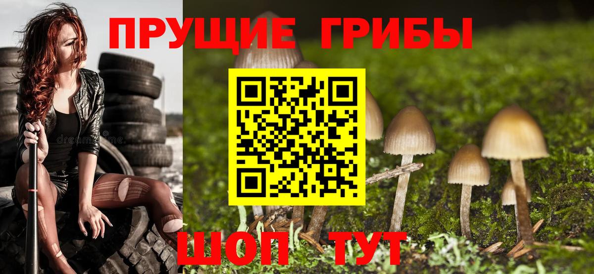 Апрелевка  Галлюциногенные грибы Psilocybine cubensis  Галлюциногенные грибы мицелий  даркнет сайт  Вход с VPN 